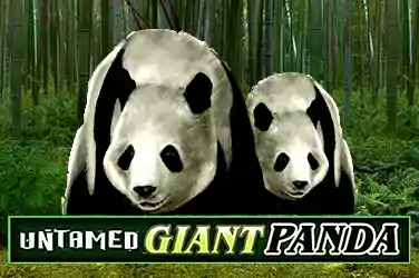 Untamed Giant Panda